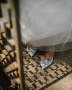 Cinderella Plano Azul