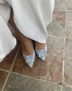 Cinderella Plano Azul